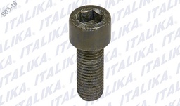 [F10040151] TORNILLO M10X25 VX250